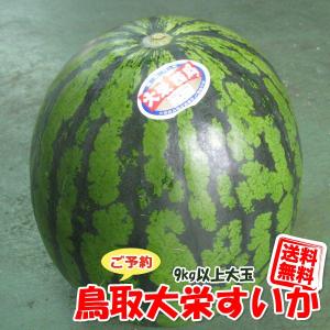 ご予約 送料無料 ちょい訳あり 鳥取 大栄 西瓜 大玉 すい...