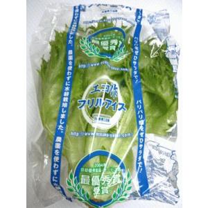 フリルアイス 1袋90g