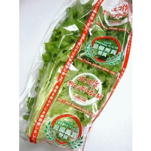 グリーンマリーゴールド 1袋90g