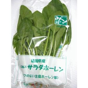 サラダ ほうれん草 1袋