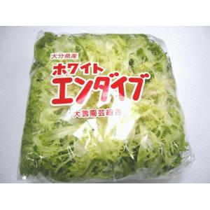 ホワイト エンダイブ