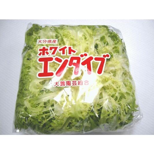 ホワイト エンダイブ 1玉