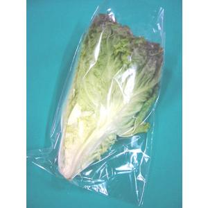 日常の一般野菜 サニーレタス 1株
