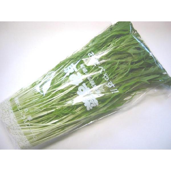 日常の一般野菜 水菜 1袋