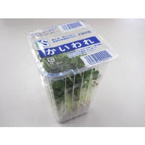 日常の一般野菜 かいわれだいこん 1パック