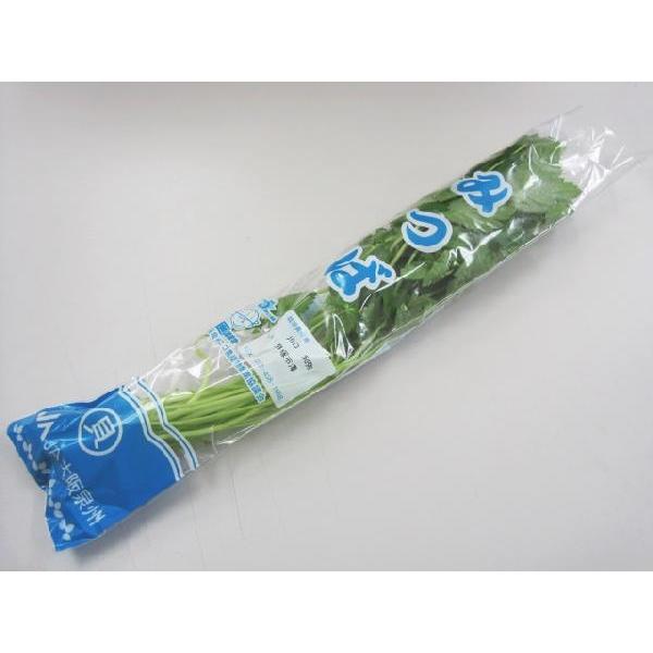 日常の一般野菜 三つ葉 みつば ミツバ 1袋