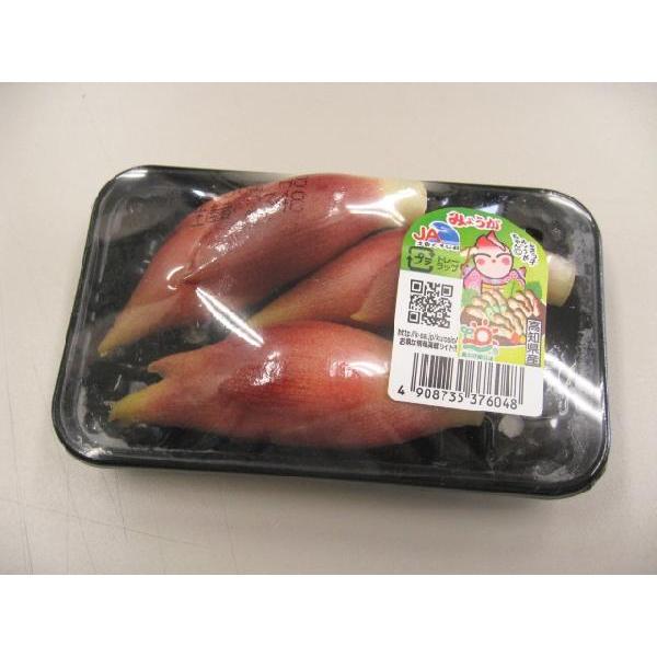日常の一般野菜 みょうが 茗荷 1パック