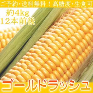 送料無料 高糖度とうもろこし ゴールドラッシュ 生食可 約4kg12本前後 ご予約｜kani