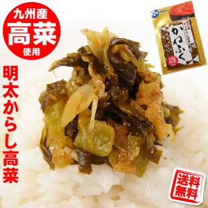かねふく 明太 からし高菜 100g 送料無料 (メール便/同梱・代引不可)