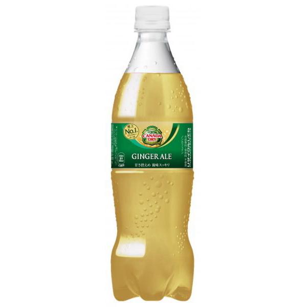 コカ・コーラ社 カナダドライ ジンジャーエール ペット700ml1箱20本