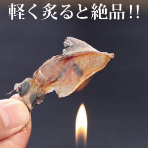 素干し ホタルイカ 干物 80g 訳あり 【送...の詳細画像3