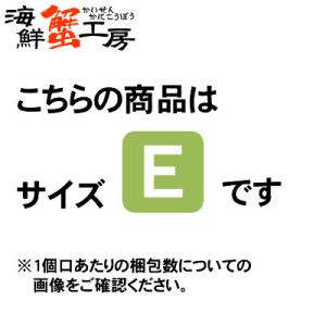 ジョージア ミルクコーヒー 500PET×24...の詳細画像4