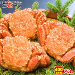 ボイル 毛ガニ 姿 400g前後 3尾 セット 毛がに 蟹味噌 海鮮 贈り物 蟹 お取り寄せ ギフト グルメ 送料無料 オホーツク カニ 北海道 ポイント利用 爆買