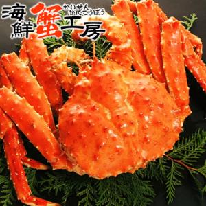 タラバガニ 姿 1.8kg前後 1尾 ボイル 冷凍 カニ姿 タラバ蟹 ゆで 冷凍 1.8kg カニ飯...