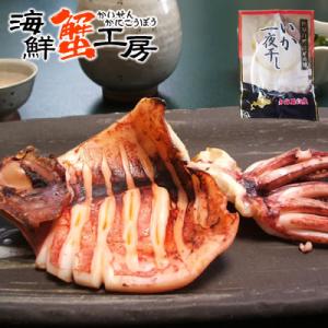 いか 一夜干し 1枚 羅臼産 烏賊 干物 イカ 海鮮 お取り寄せ グルメ ギフト 北海道