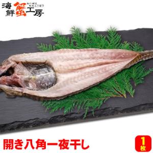 北海道産 開き八角 一夜干し 1枚 干物 焼き魚 晩酌 おかず はっかく 開きハッカク 北海道加工 ...