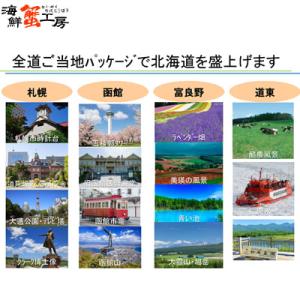 【北海道限定】北海道とうきび茶 500mlPE...の詳細画像4