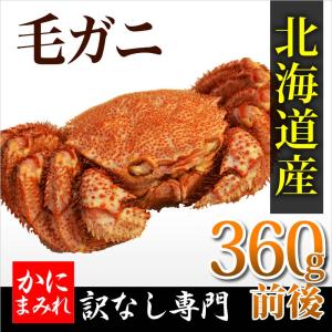 【当店人気NO1】無添加 浜茹で毛ガニ【業界最高3〜4特ランク堅蟹】(360g)　味噌を楽しむ小ぶりサイズ｜kanimamire