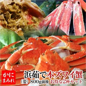 本ずわい蟹／浜茹で姿【大800g前後サイズ】（3杯セット）計2.4kg　※足し脚（差し脚）一切無し！