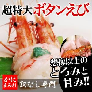 抜群の鮮度！デカすぎる最高級無添加ボタンエビ（刺身用超特大）【高級寿司店使用】500g｜kanimamire