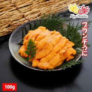 うに 100g×2パック入 ウニ 雲丹 ブランチ / ミョウバン無添加 送料無料｜kanipara