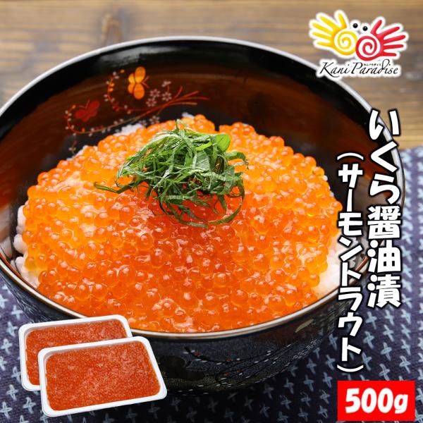いくら イクラ 醤油漬 ( サーモントラウト 卵 ) 500g(250g×2パック入り) 小粒 海鮮...