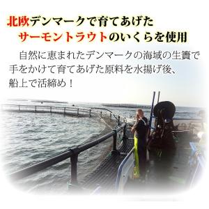いくら イクラ 醤油漬 ( サーモントラウト ...の詳細画像1