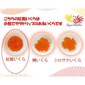 いくら イクラ 醤油漬け ( 紅鮭 ) 紅鮭い...の詳細画像3