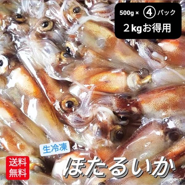 ホタルイカ 2kg 500g×4パック 蛍烏賊 A級 冷凍 生 ほたるいか 朝獲れ 新物 2026年...