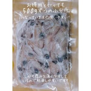 ホタルイカ 2kg 500g×4パック 蛍烏賊...の詳細画像3