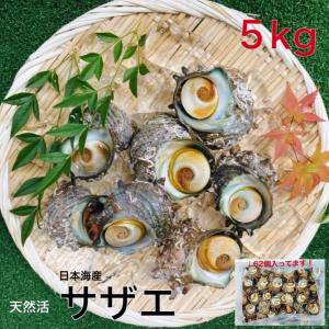 ゆうこさん専用　古平戸　三川内焼　栄螺（サザエ）蓋付き碗物×20個 ゆうこさん専用 古平戸 三川内焼 栄螺（サザエ）蓋付き碗物×20