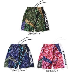 AND1（アンドワン） メール便無料 バスパン CAMO GRAPHIC 2 SHORT 迷彩