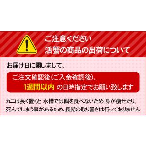 活毛ガニ 北海道産 600g前後 大型 毛蟹 ...の詳細画像1