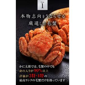活毛ガニ 北海道産 600g前後 大型 毛蟹 ...の詳細画像3