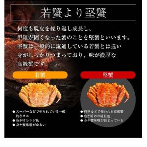 活毛ガニ 北海道産 600g前後 大型 毛蟹 ...の詳細画像4