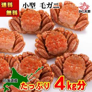 送料無料 毛蟹  11尾から14尾入りで、合計4ｋｇ前後　ボイル冷凍　毛ガニ 1尾の280ｇ〜360ｇの小型サイズ 毛がに 食べ放題 北海道 カニ味噌 かに 通販 カニ