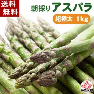 (送料無料)超極太3Lサイズ 北海道グリーンアスパラ 1kg...