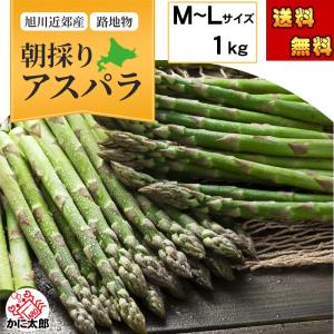 (送料無料)北海道グリーンアスパラ　Ｍ〜Ｌサイズ混合　1kg　美味しい旬の北海道産アスパラガスを産地直送。北海道産（美瑛産　名寄産）