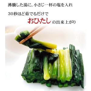 予約商品 送料無料 北海道 春野菜 天然 行者...の詳細画像1