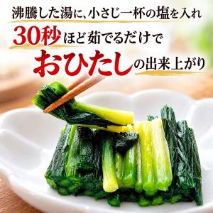 2027年度予約商品 送料無料 北海道 天然 ...の詳細画像1