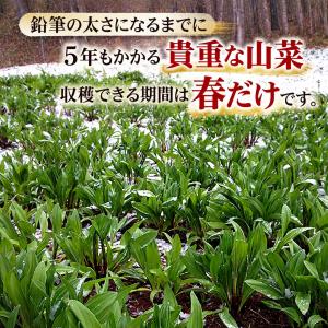 2027年度予約商品 送料無料 北海道 天然 ...の詳細画像2