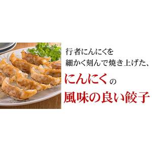予約商品 送料無料 北海道 春野菜 天然 行者...の詳細画像4