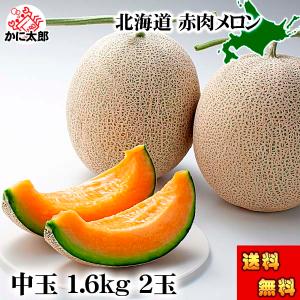 予約商品 送料無料 北海道産 赤肉メロン　1.6kg前後×2玉入り(中玉サイズ) 北海道 メロン くだもの フルーツ 果物 お取り寄せ 通販 お中元 ギフト 爆買
