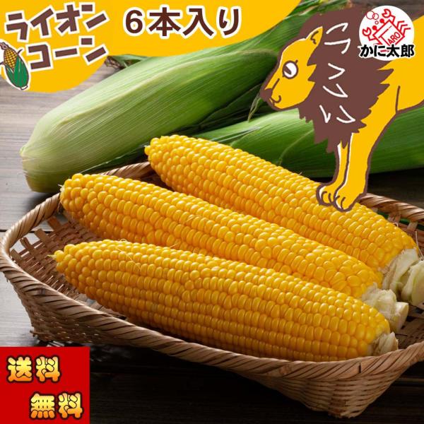 2026年先行予約 送料無料 生とうもろこし ライオンコーン　6本入り　北海道産スイートコーン ゴー...