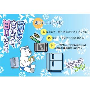 予約商品 送料無料 ピクニックコーン 小型 と...の詳細画像1