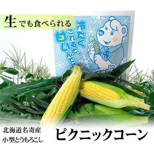 予約商品 送料無料 ピクニックコーン 小型 と...の詳細画像2