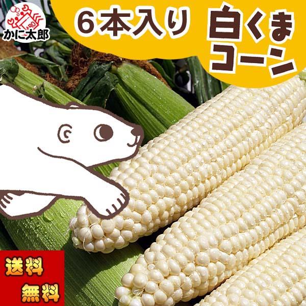 2026年先行予約 送料無料 白い とうもろこし 白くまコーン 6本入り　生食 北海道産スイートコー...
