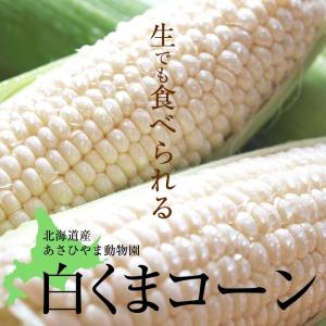 予約商品 送料無料 白い とうもろこし 白くま...の詳細画像2