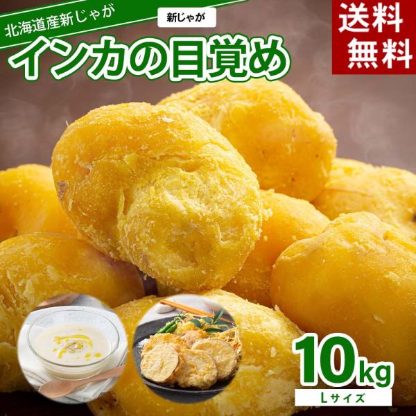 (送料無料 Ｌサイズ)北海道産じゃがいも　インカのめざめ　大型 10kg(新じゃが　インカのめざめ・...