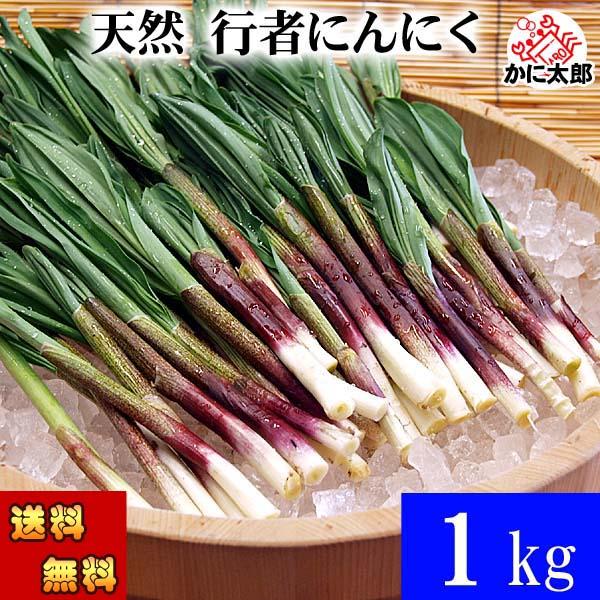 2026年先行予約 送料無料 春山菜、野菜。行者にんにく　アイヌネギ　1ｋｇ　北海道産行者ニンニク　...